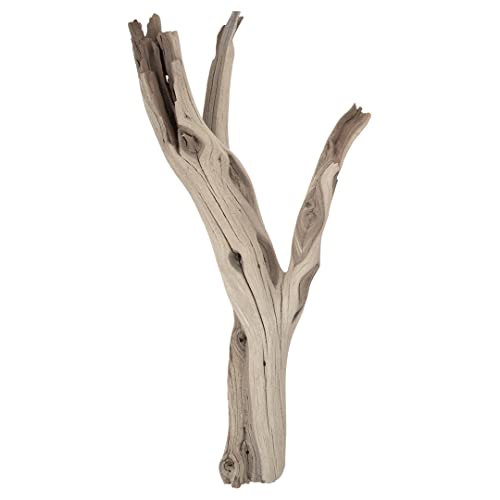 Driftwood for Sale San Diego