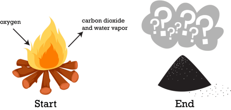 Is Wood Burning a Physical Change