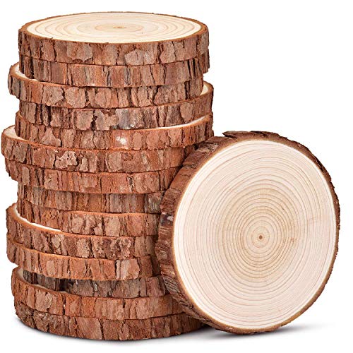 Bulk Wood Slices for Crafts