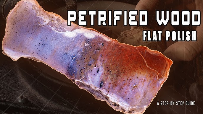 Can You Refinish Or Polish a Petrified Wood (Tips And Strategies)