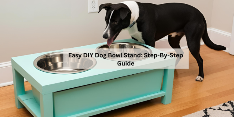 Easy DIY Dog Bowl Stand