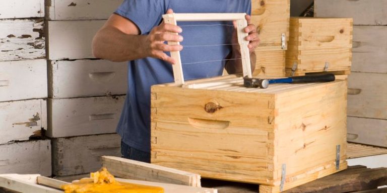 How To Build A Homemade Beehive