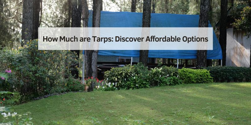 How Much are Tarps