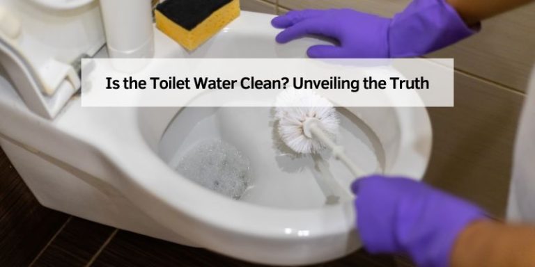 Is the Toilet Water Clean