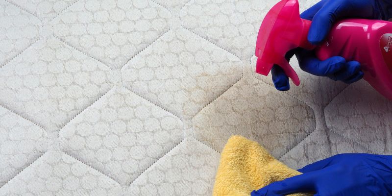 Cleaning Fresh Urine Stains