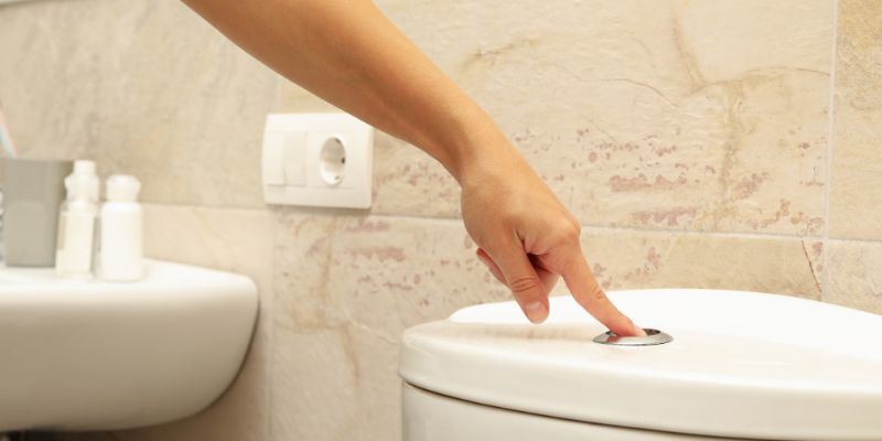 Different Types of Toilets and Their Flushing Systems