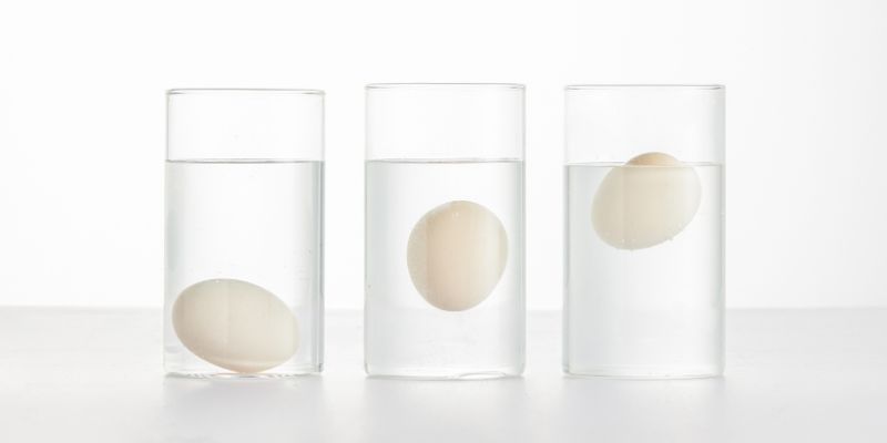 Does Fresh Eggs Float or Sink