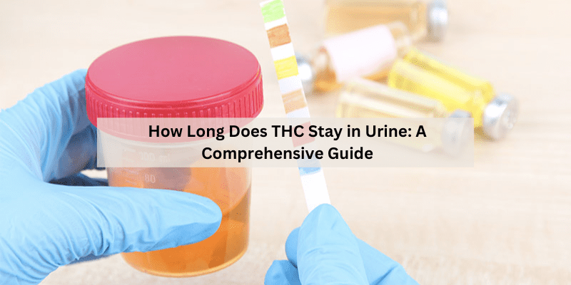 How Long Does THC Stay in Urine