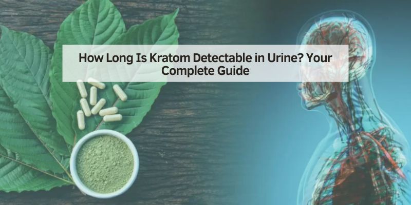 How Long Is Kratom Detectable in Urine