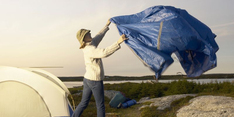 How TARP Affects Us Today