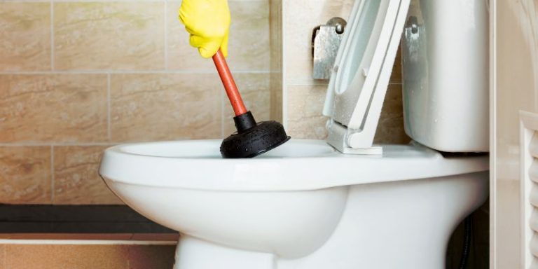 How to Clean a Toilet Bowl