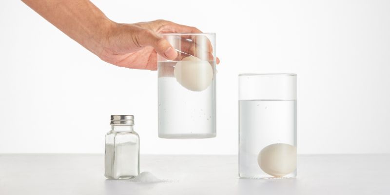 How to Perform the Egg Float Test Step by Step