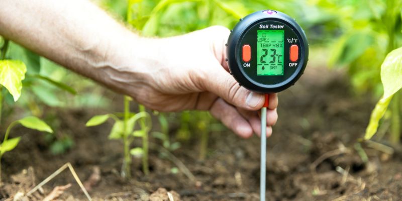 How to Test Your Water and Soil