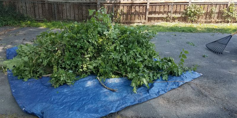 How to Use Blue Tarps Without Killing Grass