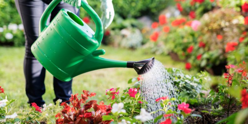 Is Softened Water Bad for Plants