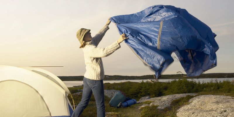 TARP and the Automotive Industry