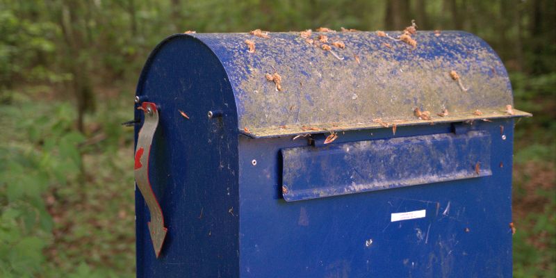 USPS’s Efforts to Secure Blue Boxes