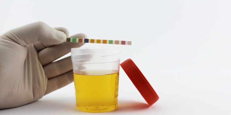 Understanding How Many Times a Diabetic Urinates