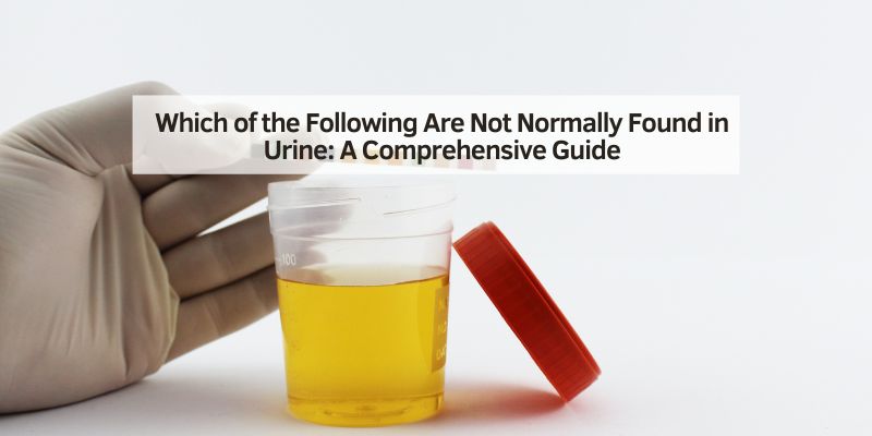 Which of the Following Are Not Normally Found in Urine