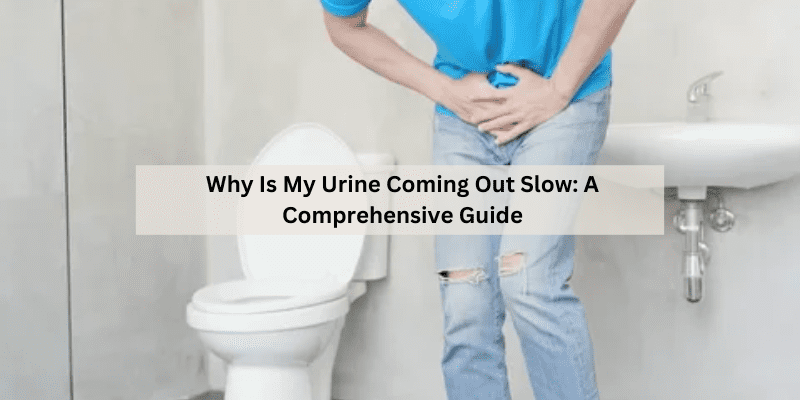 Why Is My Urine Coming Out Slow: A Comprehensive Guide