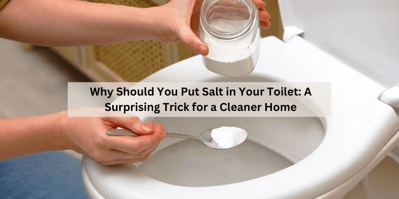 Why Should You Put Salt in Your Toilet: A Surprising Trick for a Cleaner Home