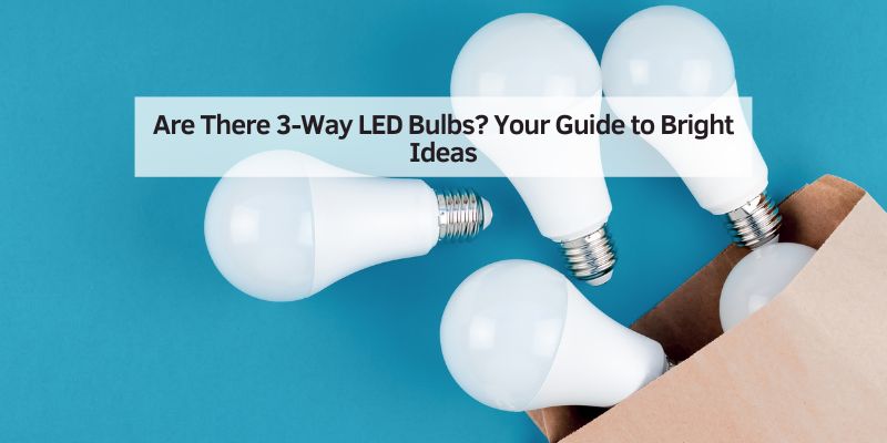 Are There 3-Way LED Bulbs