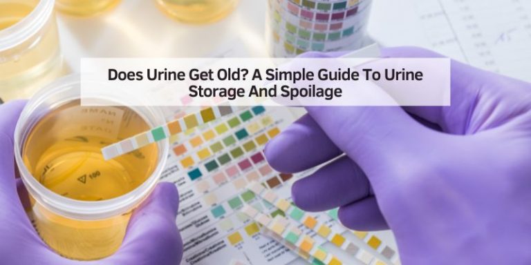 Does Urine Get Old? A Simple Guide To Urine Storage And Spoilage