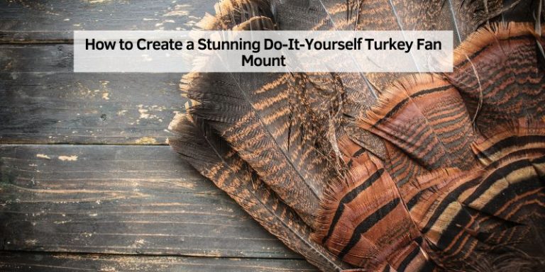 How to Create a Stunning Do-It-Yourself Turkey Fan Mount