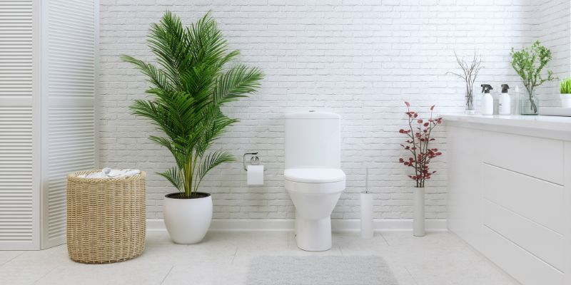 My Top Picks for Macerating Toilet Brands