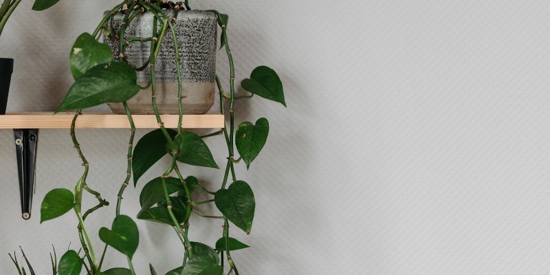 Step-by-Step Guide to Make Do It Yourself Shelf Brackets