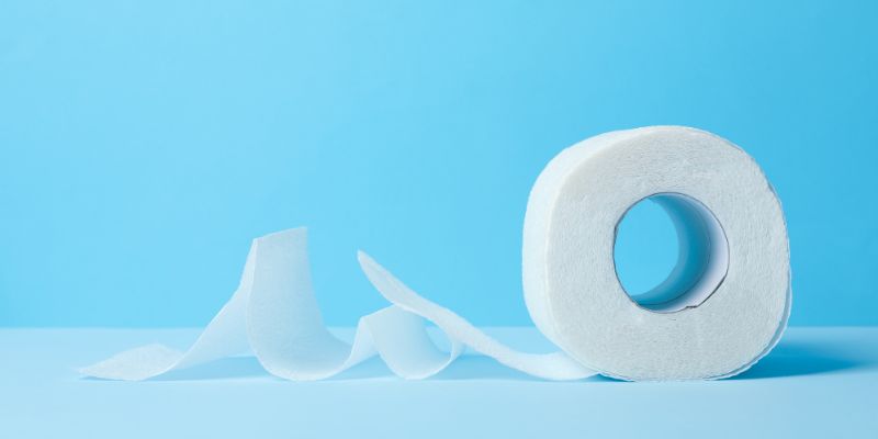 Toilet Paper as a Cultural Symbol