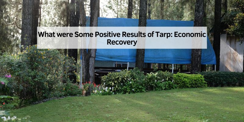 What were Some Positive Results of Tarp