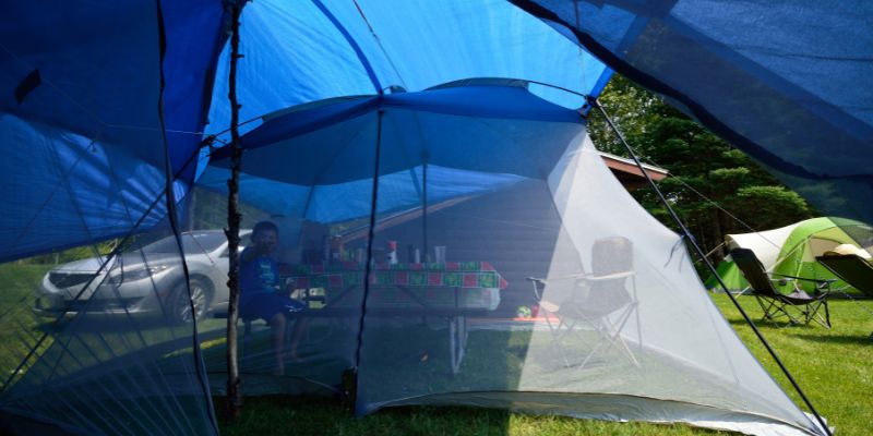 Where to Find Tarps in Lowe’s