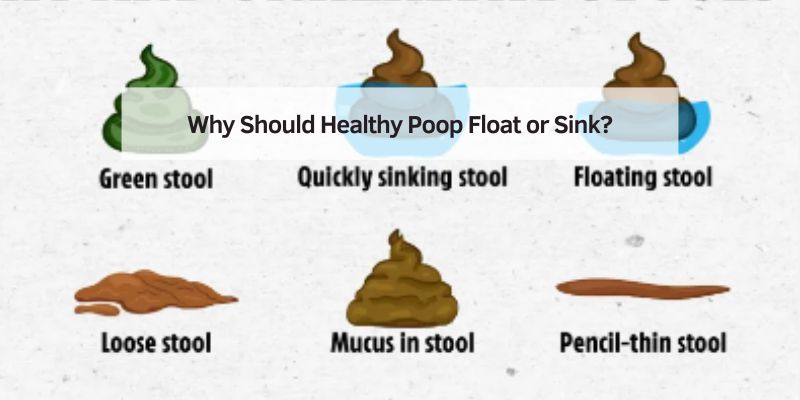 Why Should Healthy Poop Float or Sink