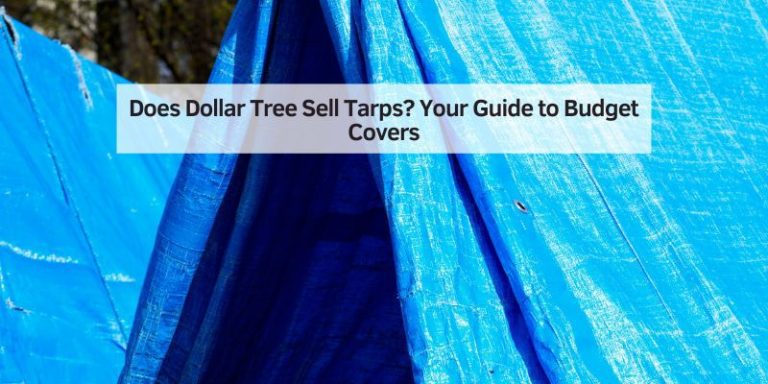 Does Dollar Tree Sell Tarps