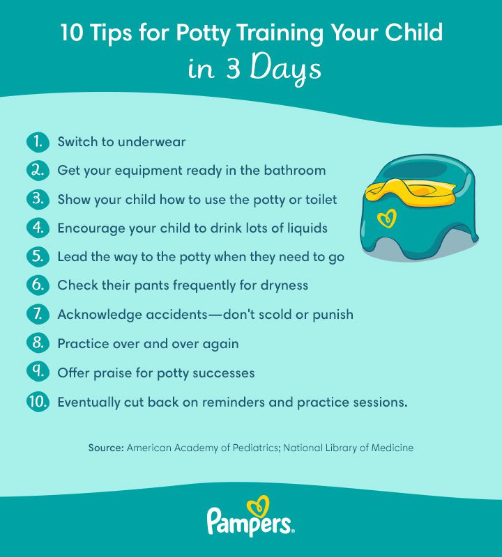 How to Do Toilet Training