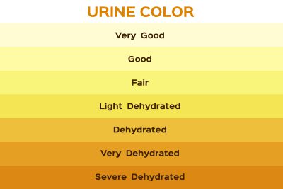 What Color is Your Urine When Pregnant