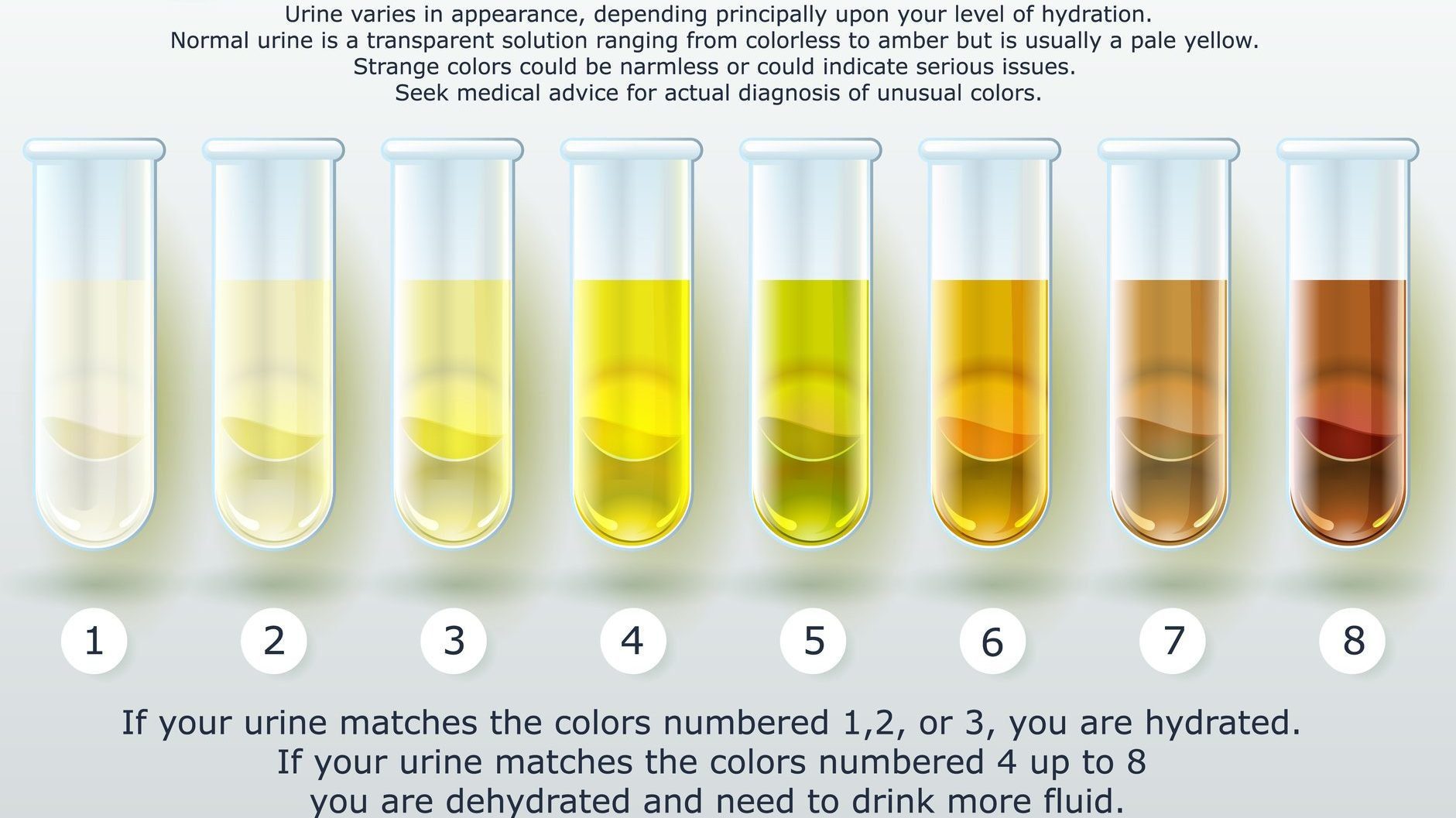 What Does Your Urine Look Like When Pregnant