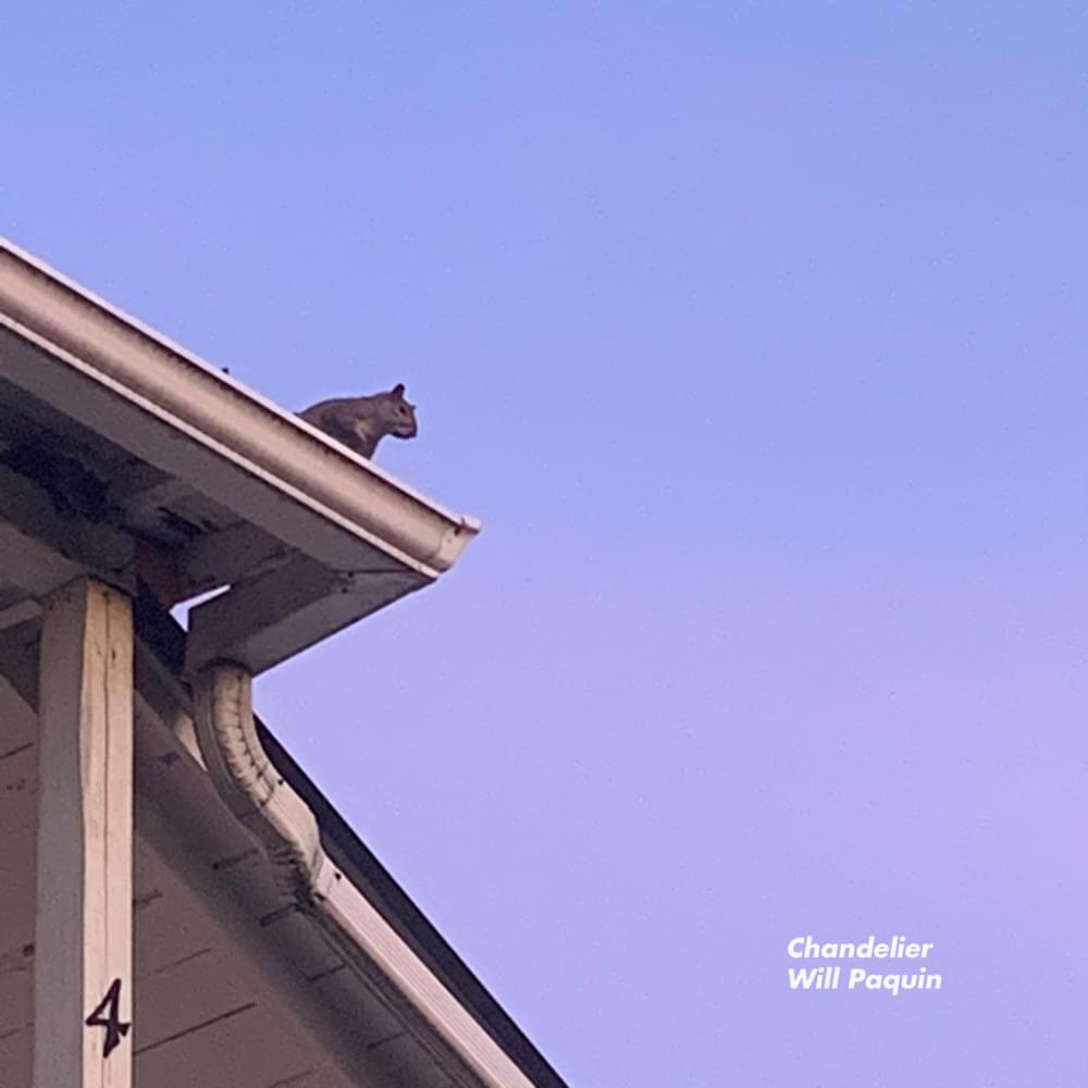 Will Paquin Chandelier Lyrics