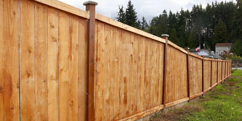 Fir vs Cedar Fence