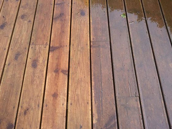 Timber Oil Vs Stain